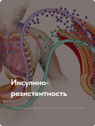 [Елена Ержанова] Лечебный протокол _Инсулинорезист_0.png